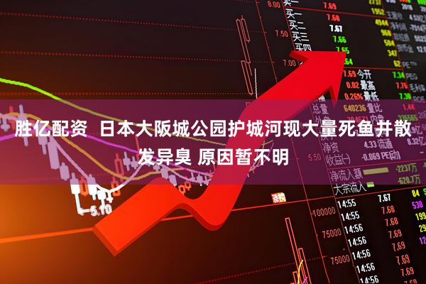 胜亿配资  日本大阪城公园护城河现大量死鱼并散发异臭 原因暂不明