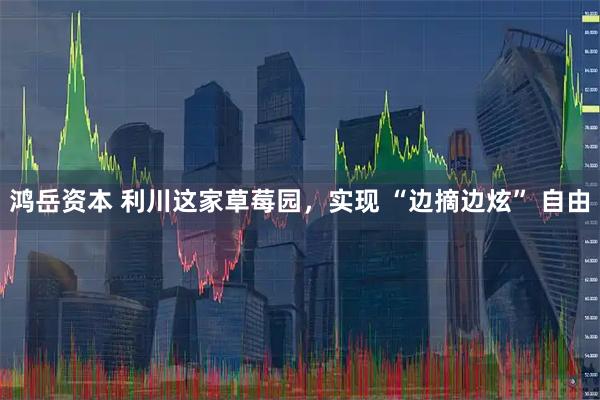 鸿岳资本 利川这家草莓园，实现 “边摘边炫” 自由